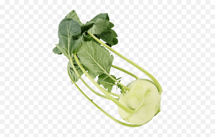 Cabbage - Be Fresh Produce Collard Greens Png,Cabbage Transparent