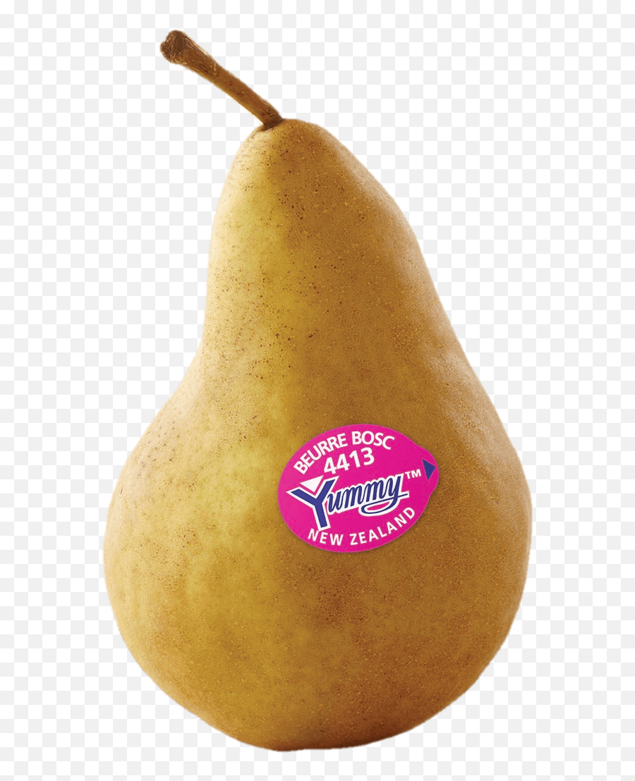 Fruit Tree Png - Beurre The Yummy Asian Pear 4315066 Asian Pear,Pear Png