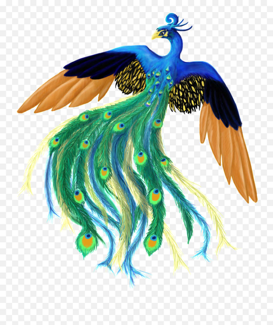 Peacockpng Picture By Lorenith - Photobucket Free Photo,Peacock Png