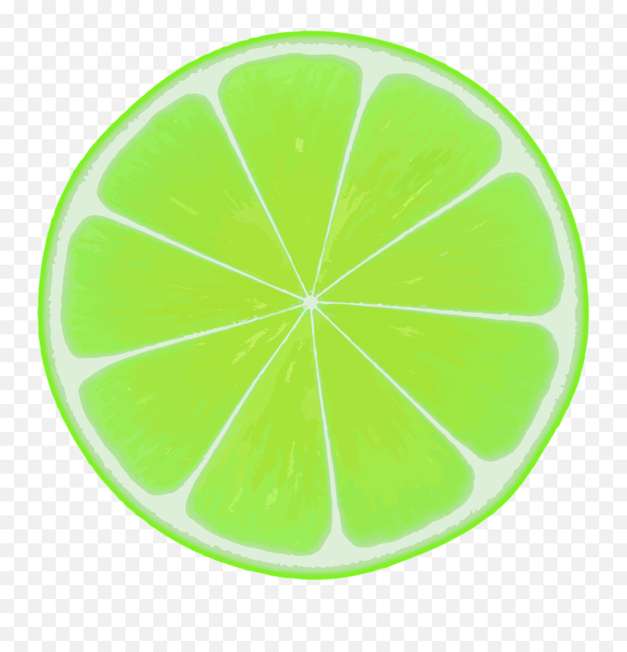 Leaf Citrus Key Lime Png Clipart - Key Lime Transparent Drawing,Lime Png