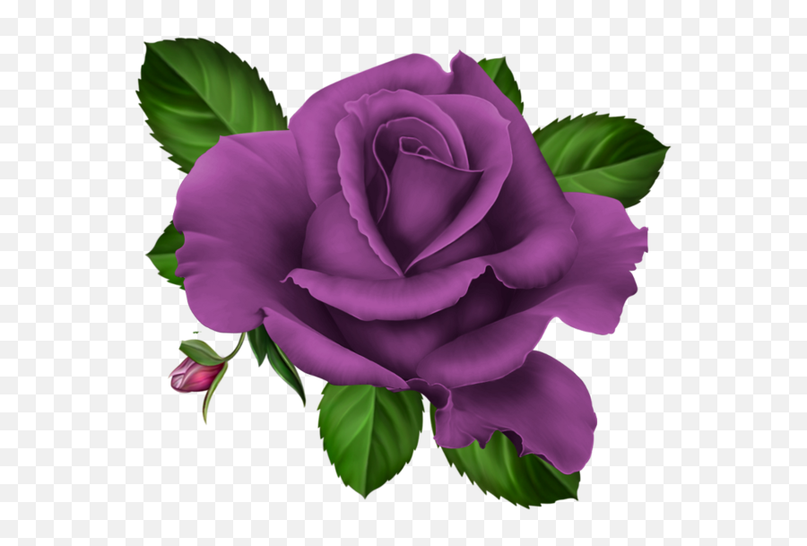 Roses Pink Roze Rosa Kwiaty Png - Glitter Purple Rose Clipart,Violets Png