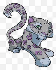 Learn How To Draw Snow Leopard - Easy Draw Everything Snow Leopard Drawings Furry Png,Snow Leopard Png