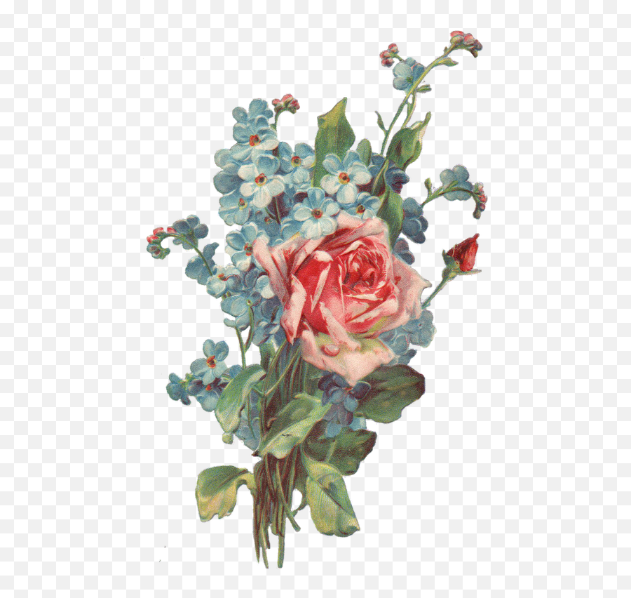 Roses And Forget Me Not Bouquet Png - Transparent Aesthetic Flower Drawing,Forget Me Not Png