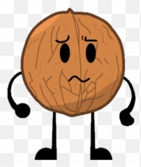 Walnut - Cartoon Walnut Png,Walnut Png