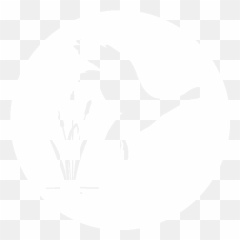 Download Grey Goose Png Image With No