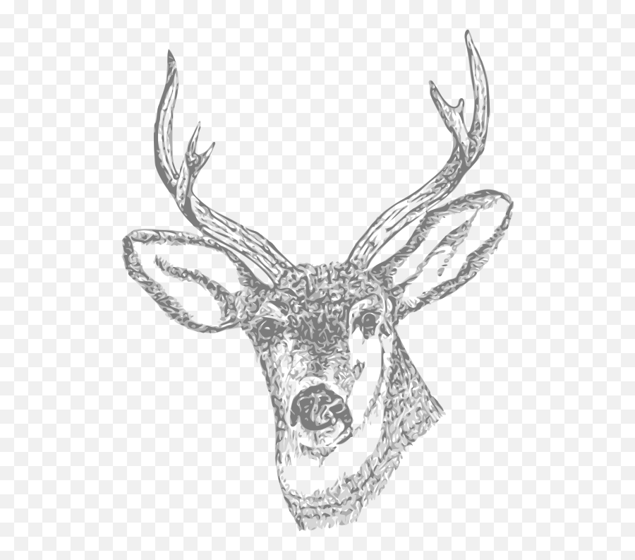 Antler Clipart Transparent Tumblr - Hunting Drawings Png,Deer Transparent