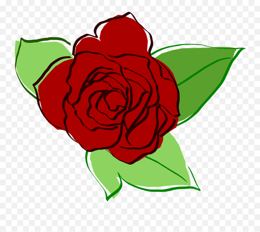 Rosa Vermelha - Rose Clipart Png,Rose Drawing Png