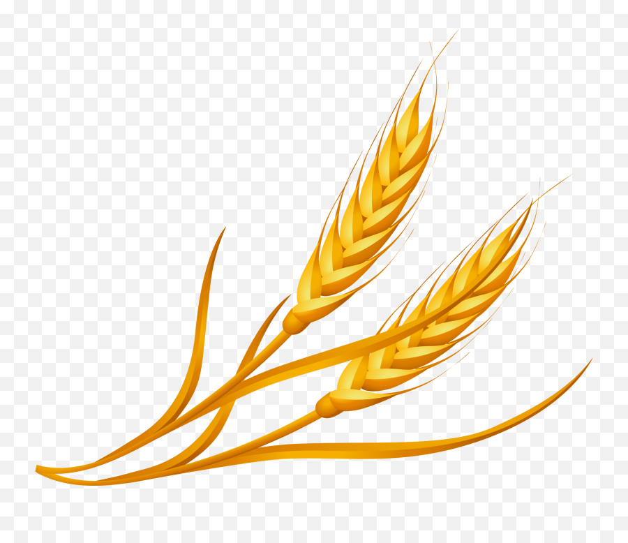 Wheat Clipart Png Image Free Download - Transparent Wheat Clipart Png,Wheat Png