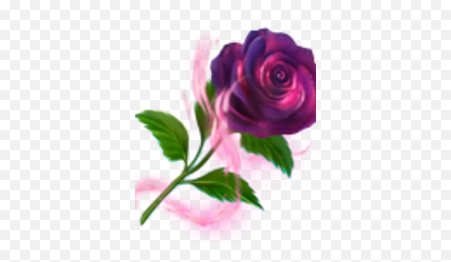 Black Rose - Lovely Png,Black Roses Png