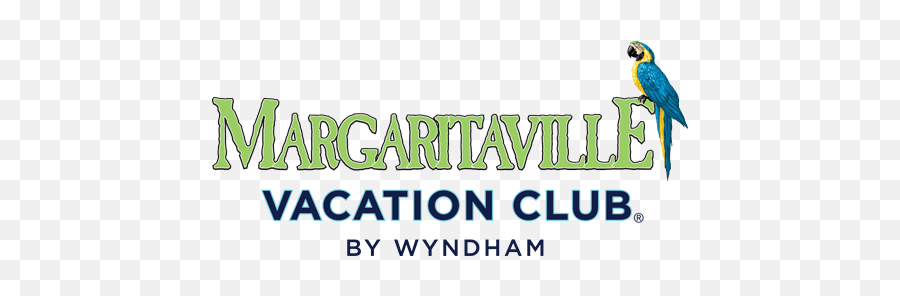 Margaritaville Vacation Club - Margaritaville Vacation Club By Wyndham Logo Png,Jimmy Buffett Logo