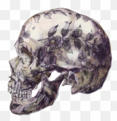 Download Transparency Shit Blunt Transparent Tumblr - Floral Skull Art Png,Tumblr Png Transparency
