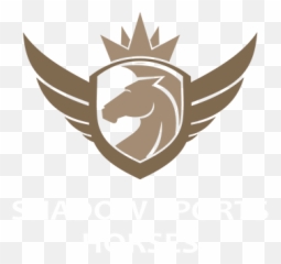 Shadow Man Ben Hobday Eventing - Mumbai Fitness Academy Logo png