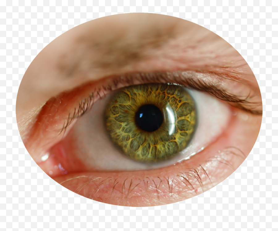 Human Eye Png Picture - Png Eyes Lens Hd,Eye Transparent