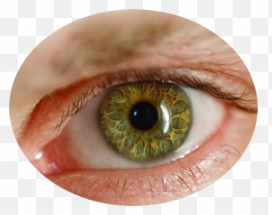 Human Eye Png Picture - Eyes Lens Hd