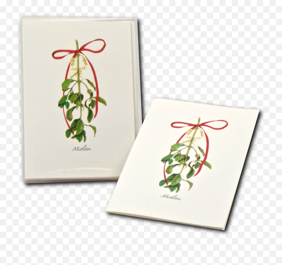 Mistletoe Boxed Notes - Craft Png,Mistle Toe Png