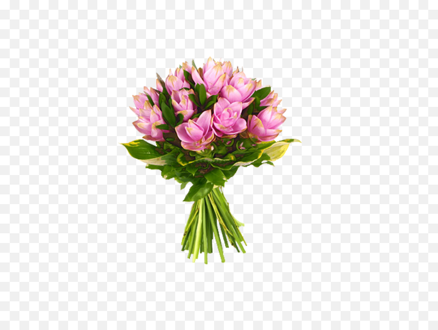 Download Photo Bouque Png Image 2 Flowers Al Jossie Fotki - Bucket Of Flowers Png,Flowers Bouquet Png