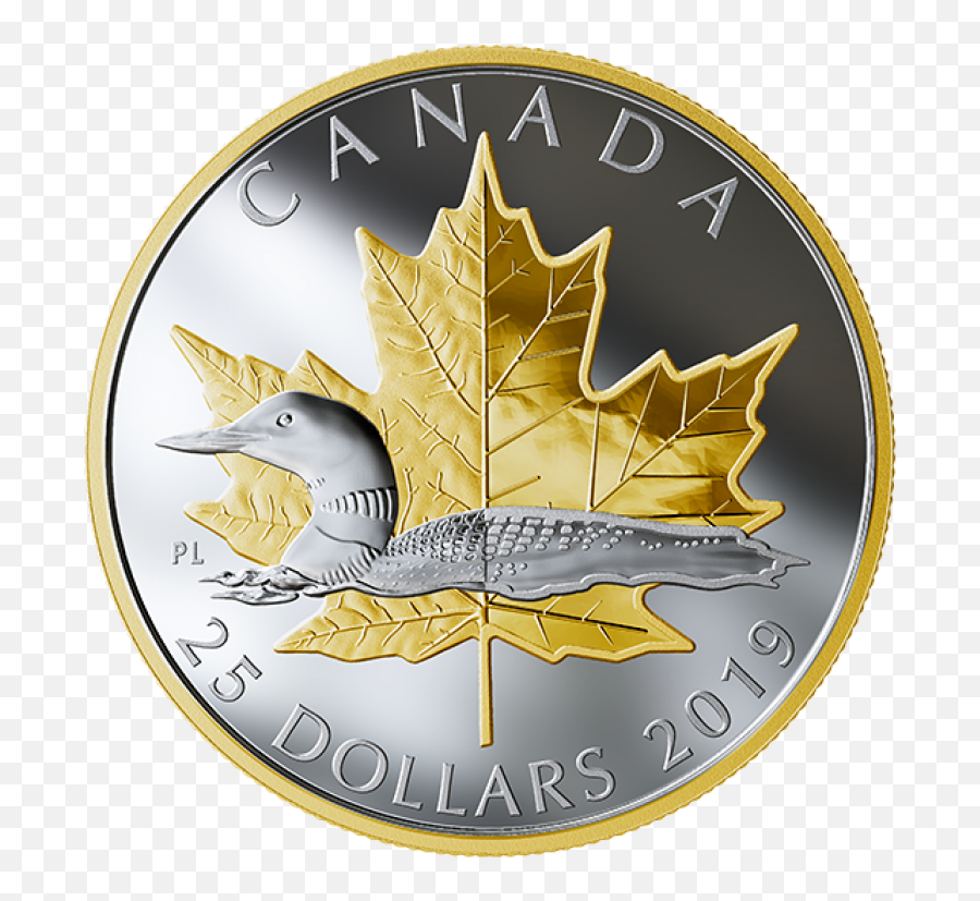 2019 Canadian 25 Timeless Icons Loon - 1 Oz Fine Silver U0026 Goldplated Piedfort Coin Png,Maple Leaf Icon