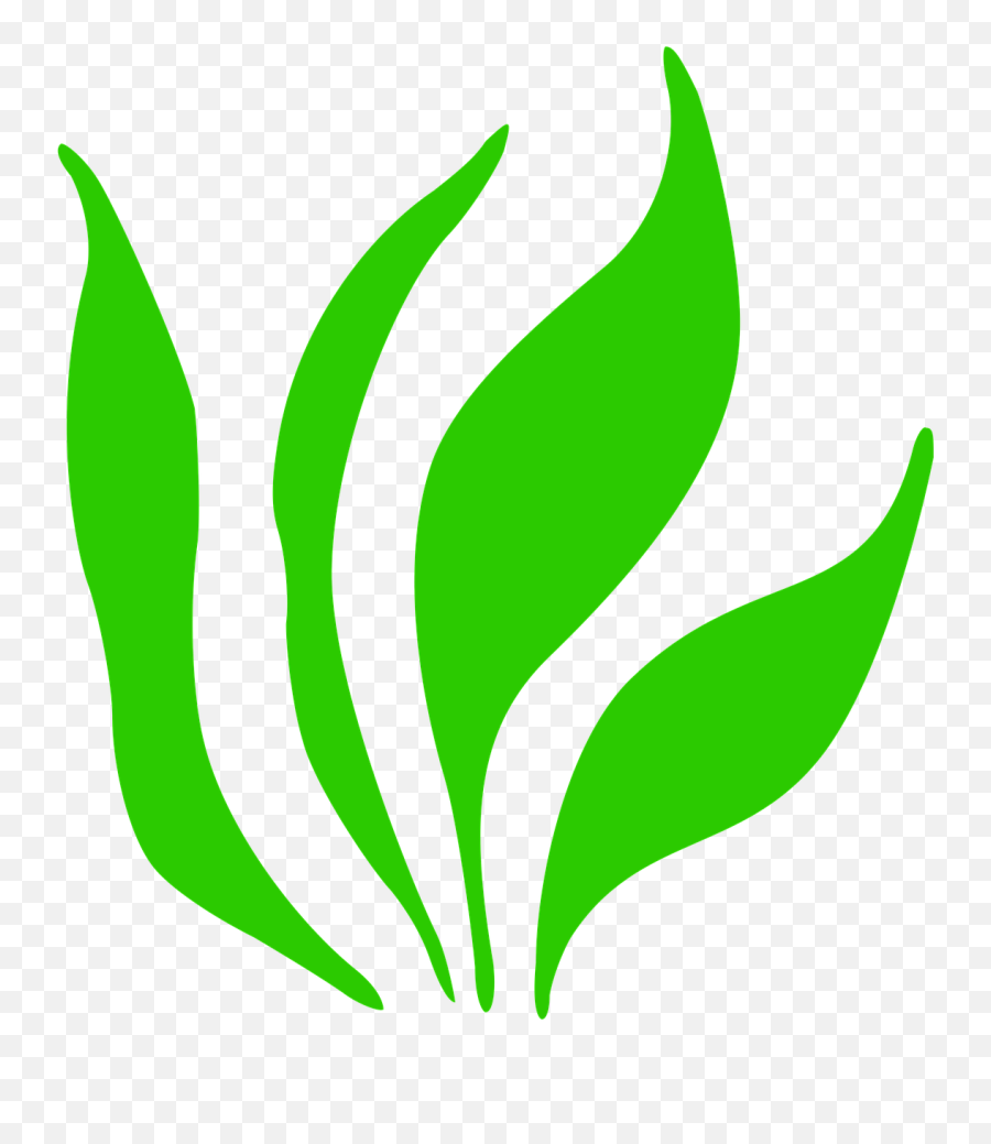 Icon Grass Grasses Bloom Green Png - Crop,Grass Icon