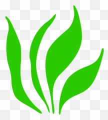 Icon Grass Grasses Bloom Green Png - Crop