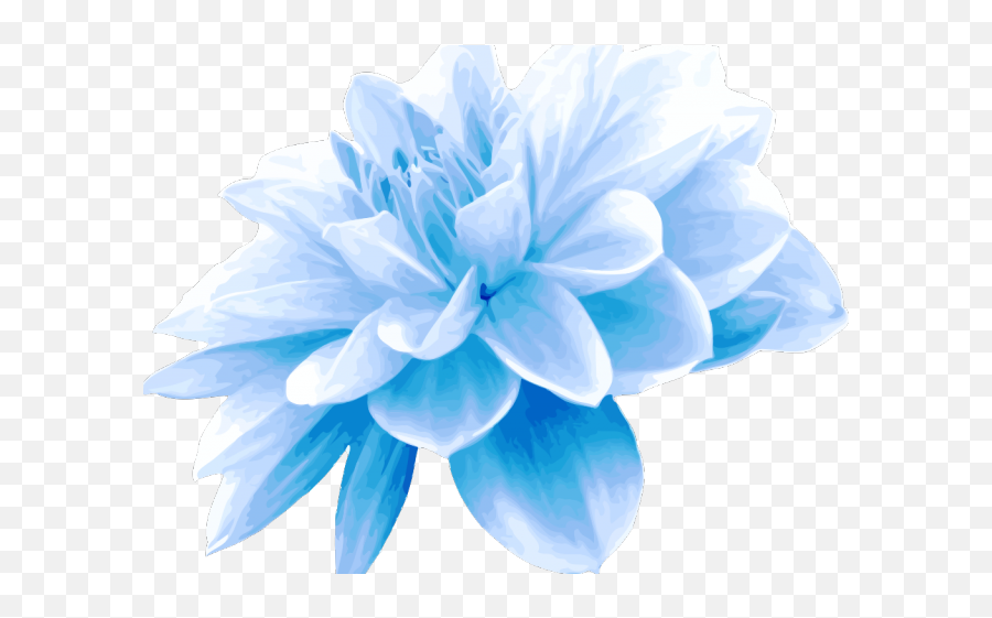 Download Teal Clipart Blue Green Flower - Light Blue Flowers Transparent Png,Blue Flowers Png