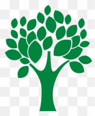 Our Approach To Social Impact - Tree Inside Circle Drawing png