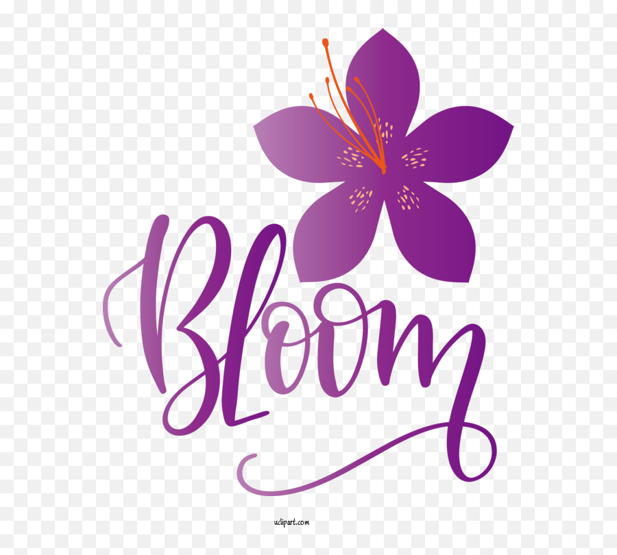 Flowers Logo Drawing Icon For Flower Clipart - Flower Girly Png,Free Flower Icon