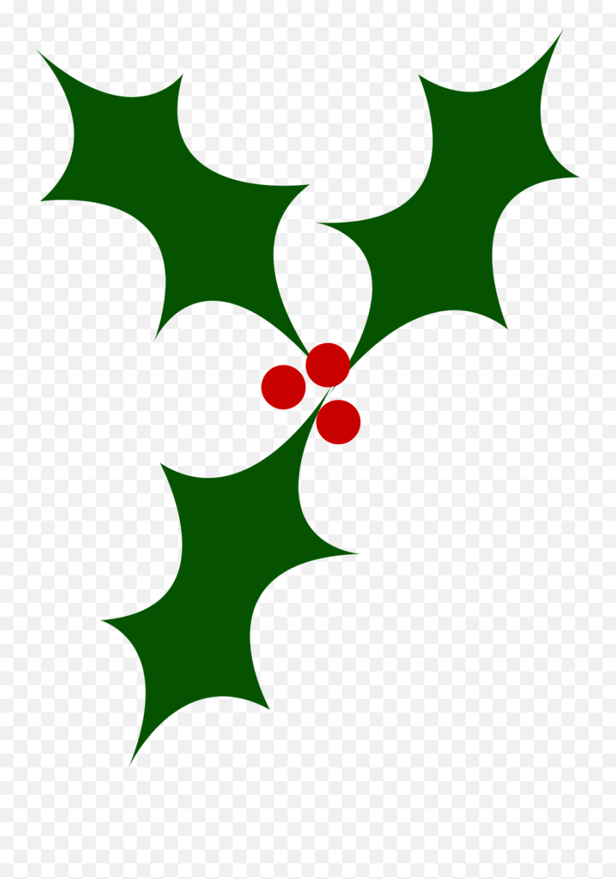 Holly Christmas Tree Berry Png Image - Holly Berry Leaves Svg,Christmas Holly Png