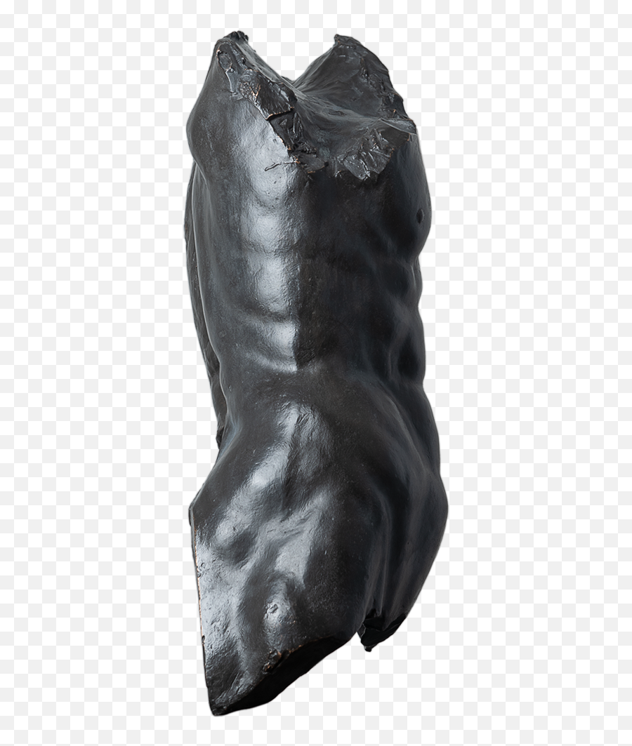 Torso Bronze 2019 Daniela Ferdani - Snow Boot Png,Torso Png