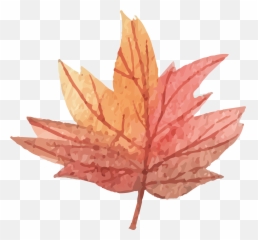 Maple Leaf - Vector maple png download 16441529 Transparent Background Leaf