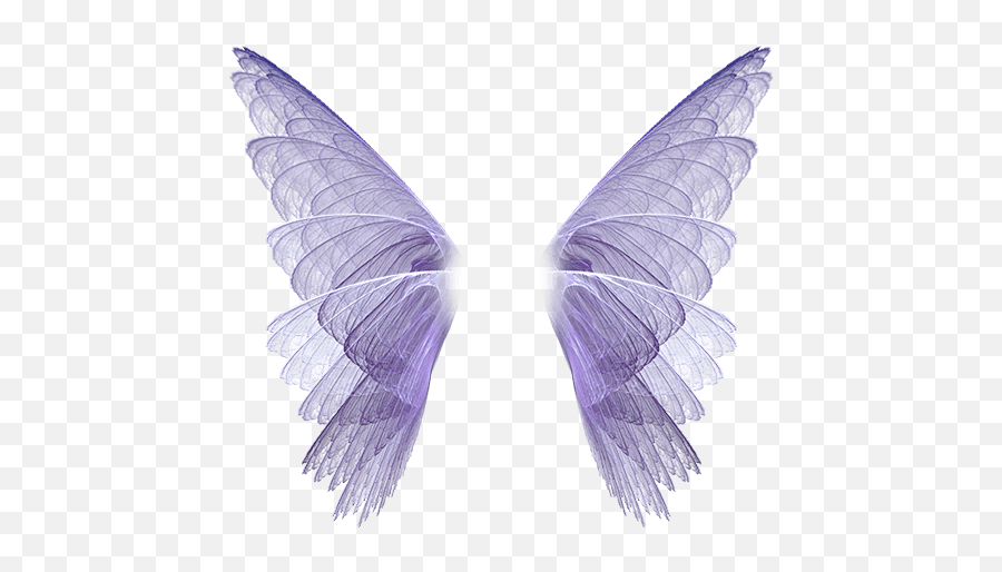 Purple Wings Png Fairy Wings Transparent Background Butterfly Wing Png Free Transparent Png Images Pngaaa Com - how to get butterfly wings in roblox