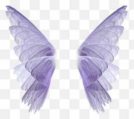 Purple Wings Png - Fairy Wings Transparent Background,Butterfly Wing Png
