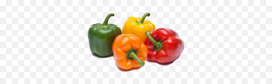 Pepper Mr Dudley Transparent Png - Bell Peppers Transparent,Pepper Transparent