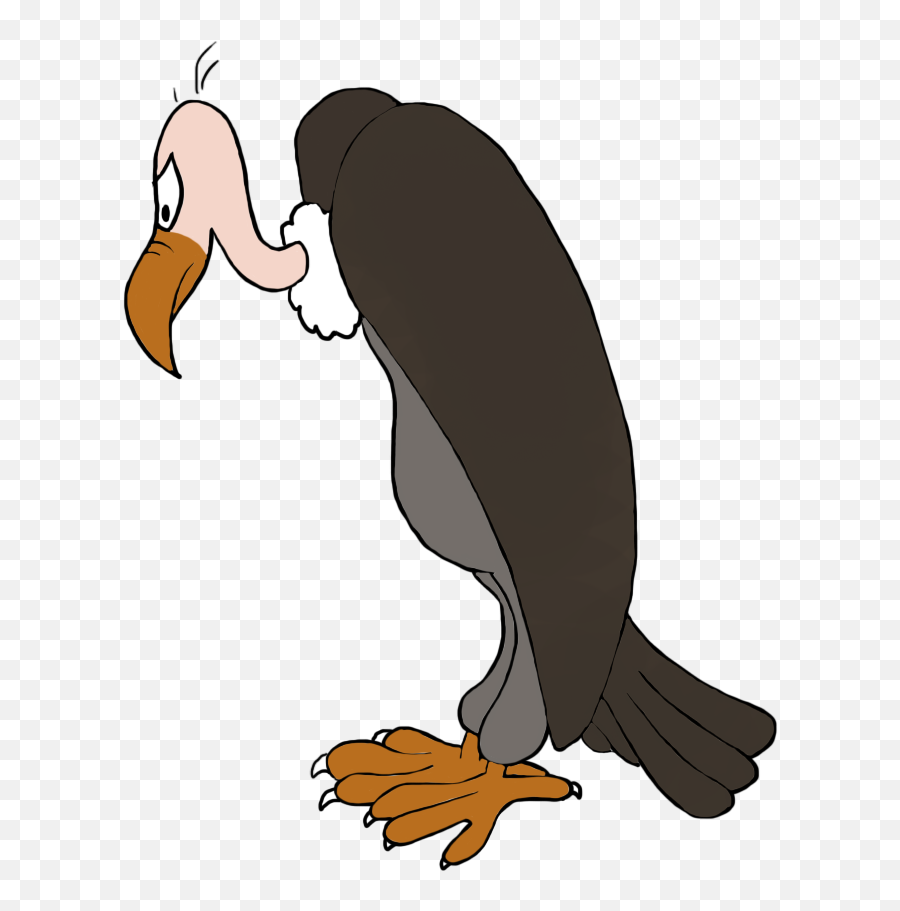 Bird Clip Art - Vulture Clipart Png,Vulture Png