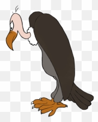 Bird Clip Art - Vulture Clipart Png,Vulture Png