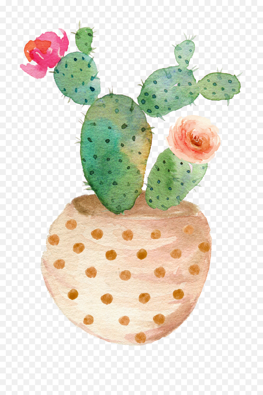 Succulent Clipart Potted - Watercolor Clip Art Cactus Png,Succulent Transparent Background