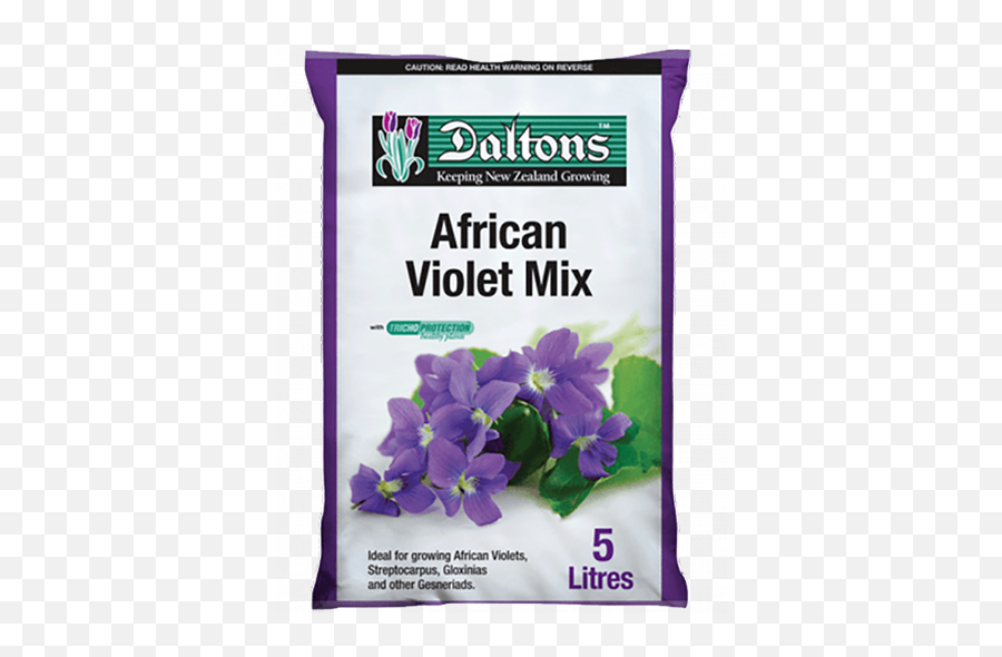 Daltons African Violet Mix 5l Png Violets