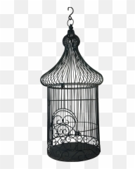 Vintage Bird Cage Planter Chairish 445935 - PNG Images