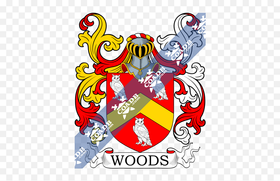 Family Crest Coat Of Arms And Name History - Nary Coat Of Arms Png,Woods Png