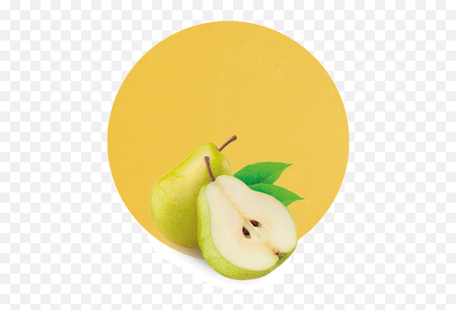 Pear Concentrate - Asian Pear Png,Pears Png