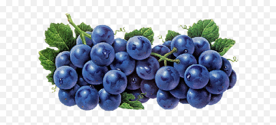 Fullscreen Page Wixtest - Food Png,Grape Png
