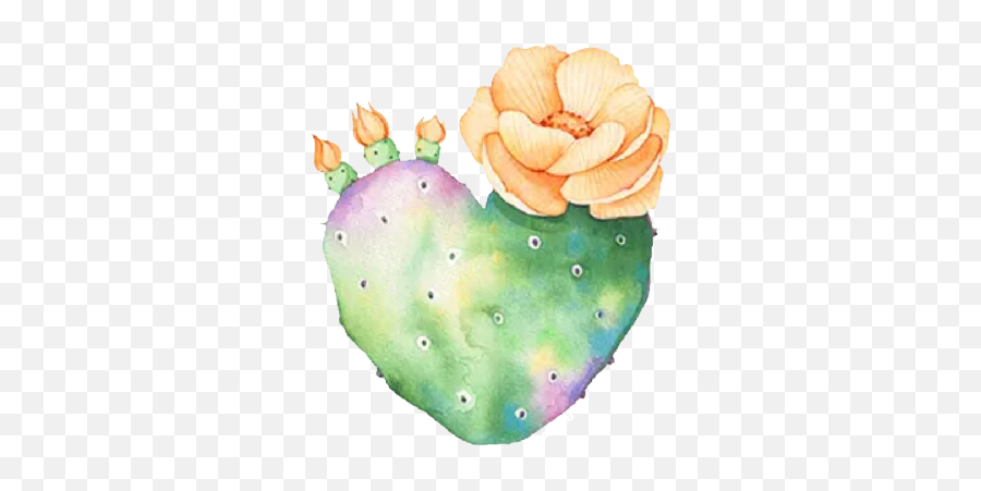 Cute Transparent Tumblr Cactus Pictures To Pin