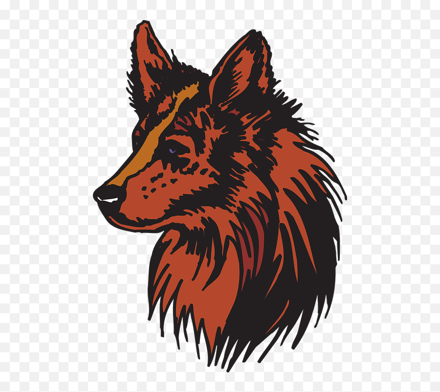 Head Red Animal - Cabezas De Animales Png,Coyote Png