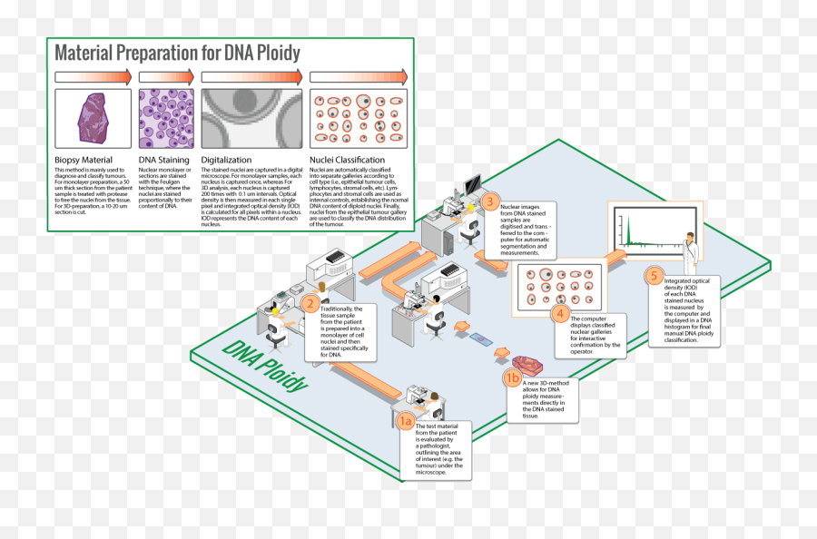 Project - Horizontal Png,Dna Transparent