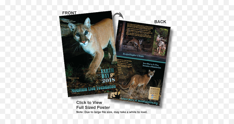 2018 Mountain Lion Earth Day Poster - Cougar Png,Mountain Lion Png