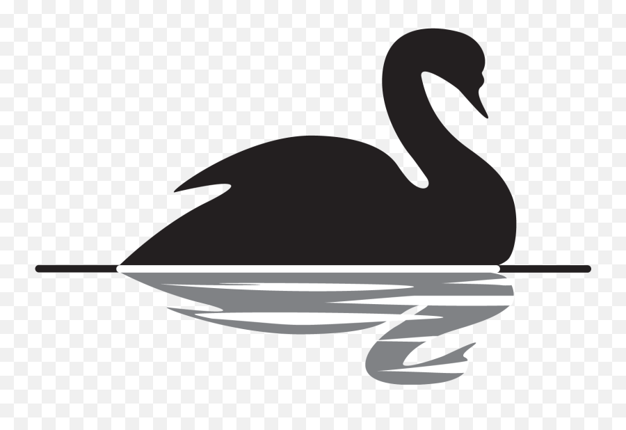 Pin - Black Swan Theory Ppt Png,Swan Logo
