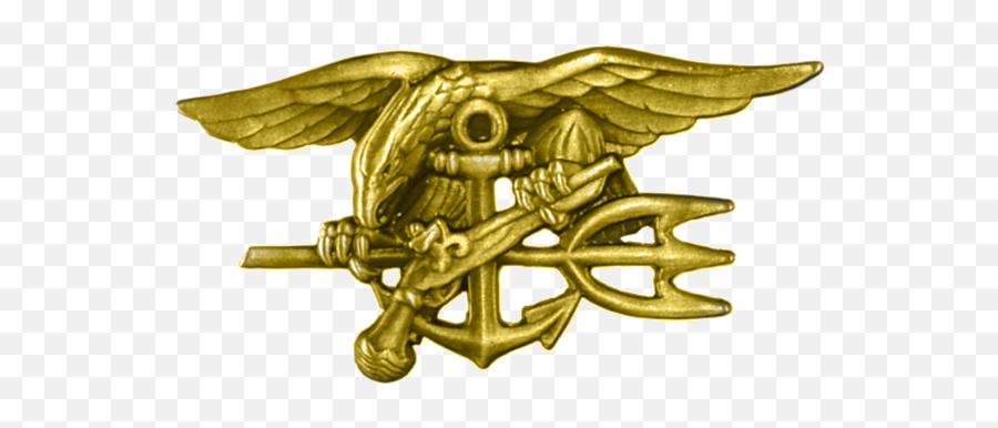 United States Navy Seals - Wikipedia Seal Team 8 Png,Vintage Vs6 Icon Jr