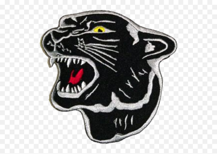 Putnam County High School - Granville Il Johnston Panthers Ri Png,Putnam Icon