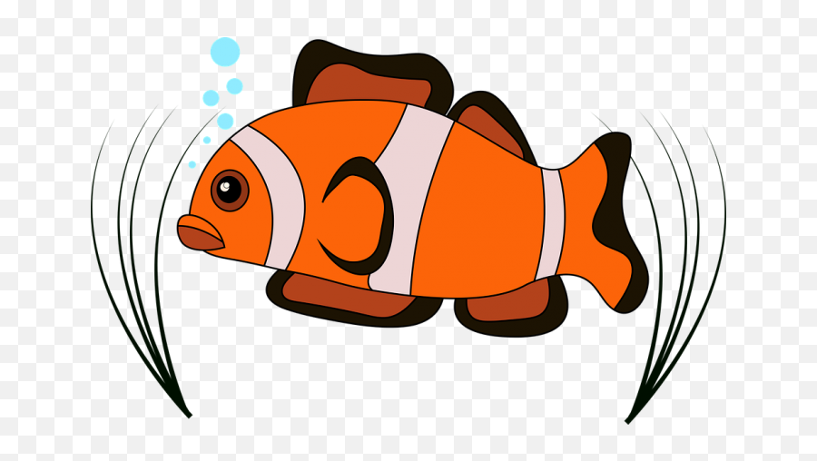 Nemo Free Png Image