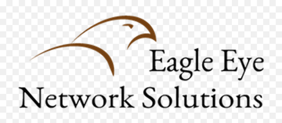 Eagle Eye Network Solutions - Language Png,Eagle Eye Icon