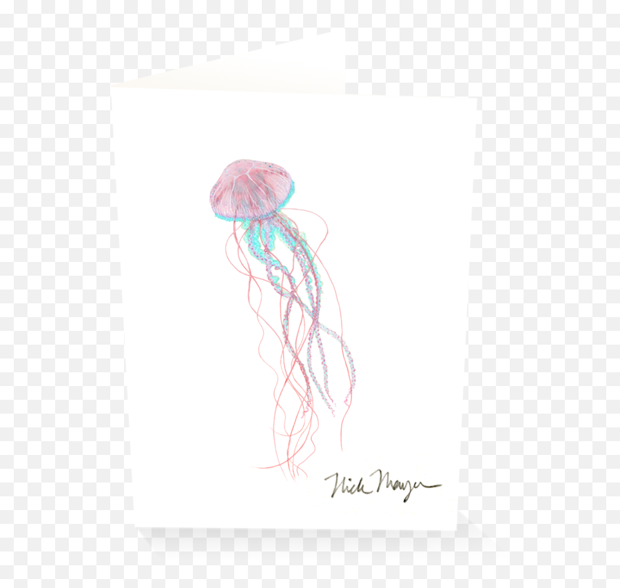 Pink Jellyfish - Sketch Png,Transparent Jellyfish